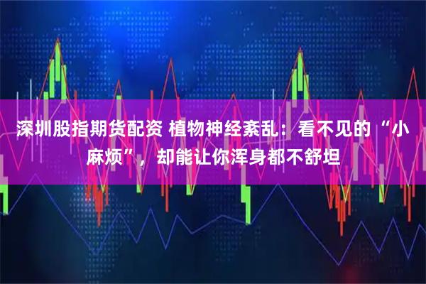 深圳股指期货配资 植物神经紊乱：看不见的 “小麻烦”，却能让你浑身都不舒坦